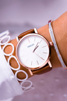 Odcienie brązu i beżu