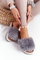 Szary || Wielokolorowy