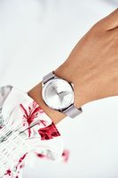 Odcienie szarości i srebra